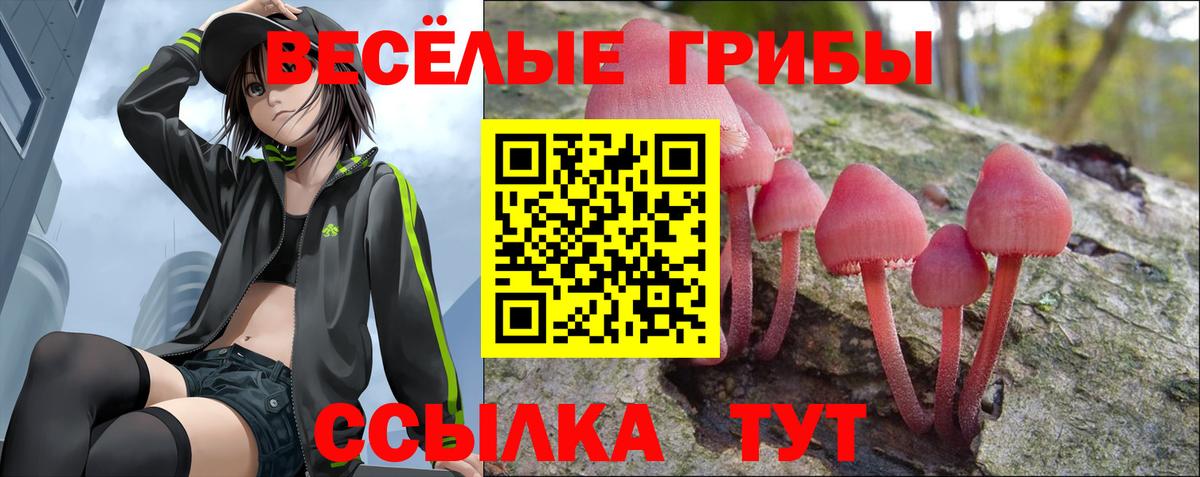 Псилоцибиновые грибы Psilocybine cubensis Лангепас