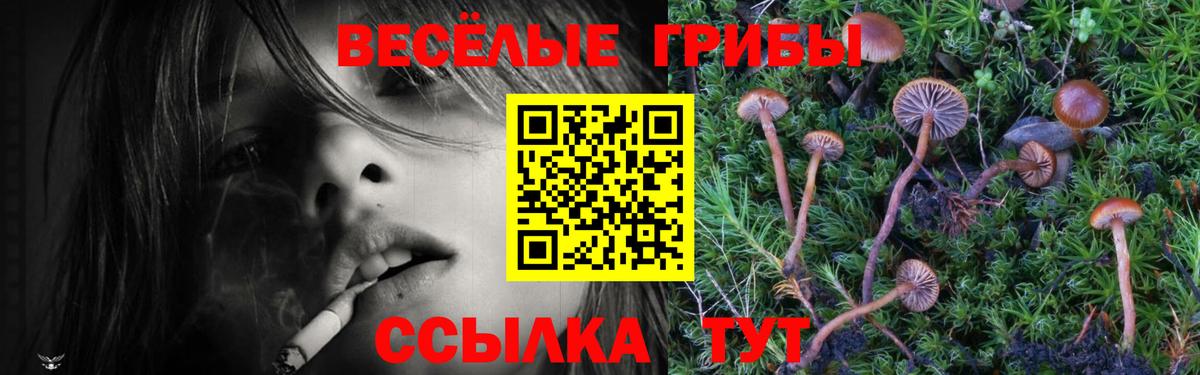 Лангепас  Галлюциногенные грибы MAGIC MUSHROOMS  Галлюциногенные грибы Psilocybe  Вход с VPN 